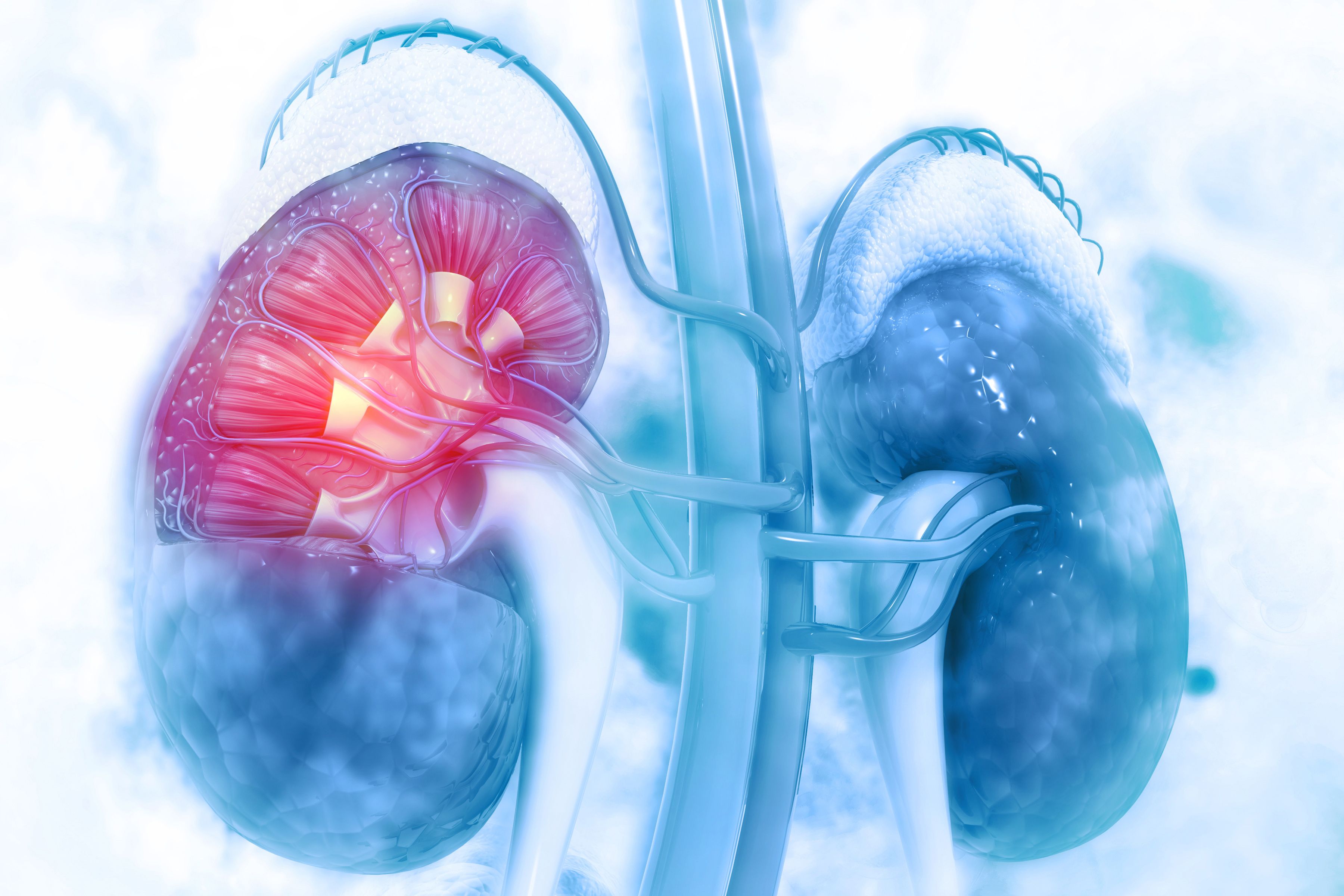 What Drugs Can Cause Acute Kidney Injury