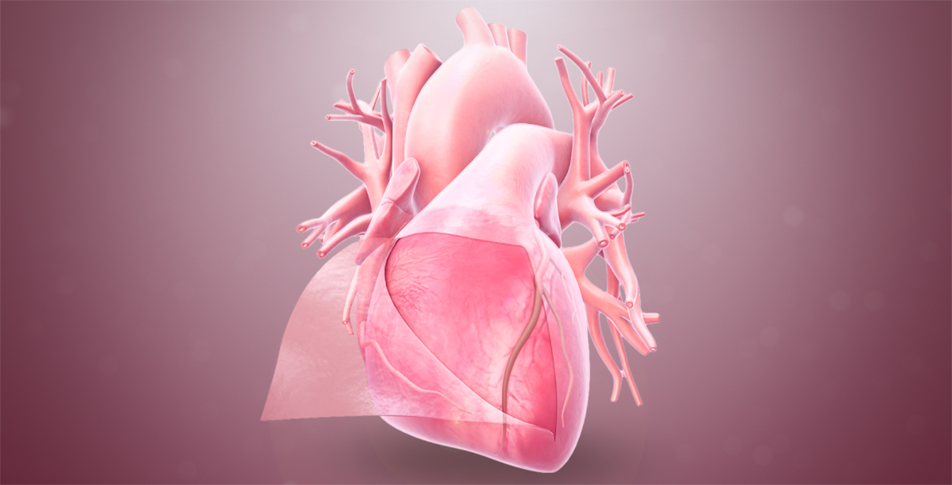 PERICARDIAL EFFUSION TREATMENT THROUGH HOMEOPATHIC