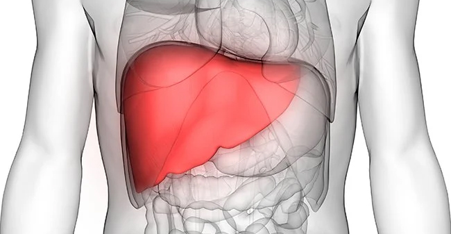 HOMOEOPATHY AND ITS EFFECTIVENESS IN CONTROLLING ENLARGEMENT OF LIVER